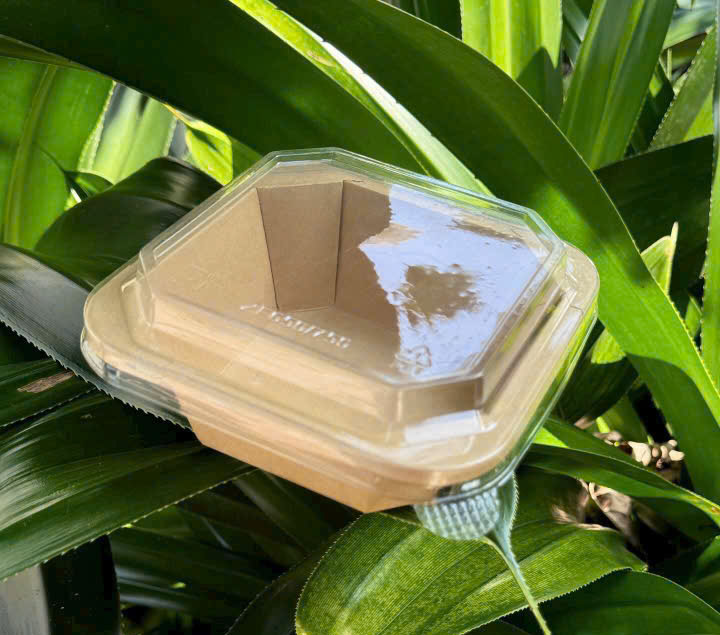 hộp giấy vuông nâu 300ml