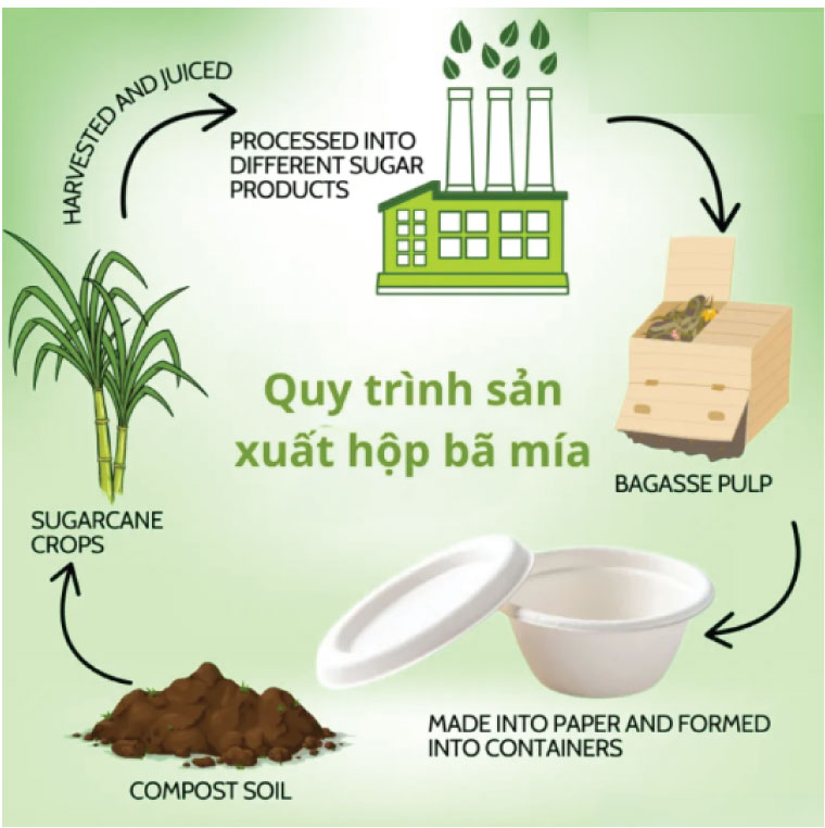 quy trình sản xuất hộp bã mía