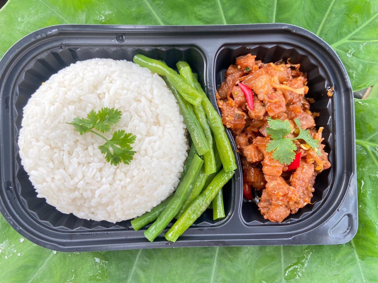 Hộp nhựa đế đen nắp trong đựng cơm