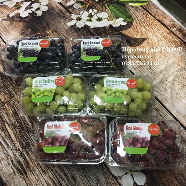 hộp nhựa trong đựng trái cây quà tết