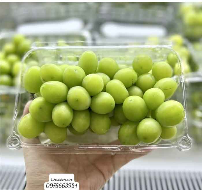 hộp nhựa đựng nho mẫu đơn 