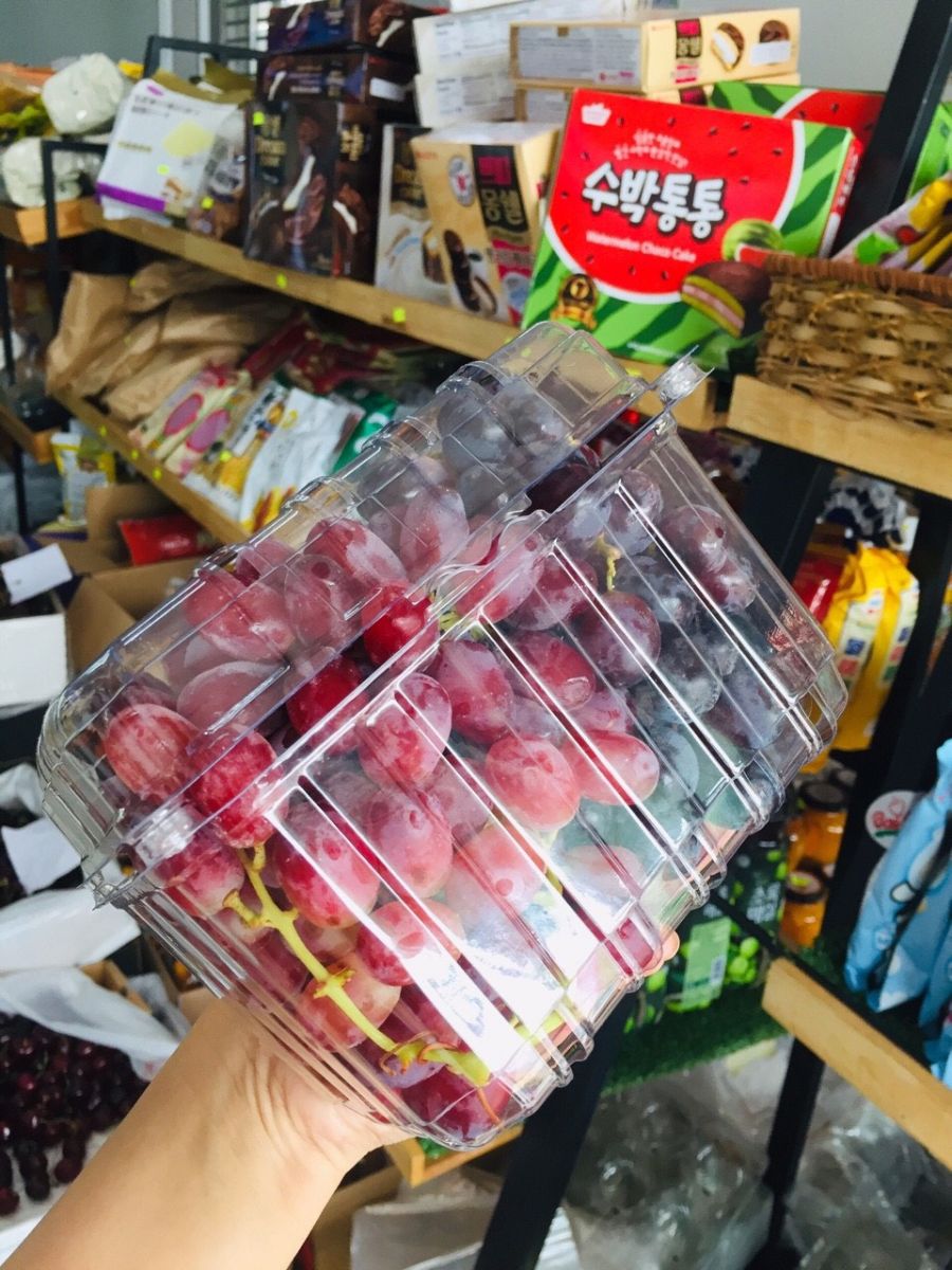 hộp nhựa đựng trái cây trong