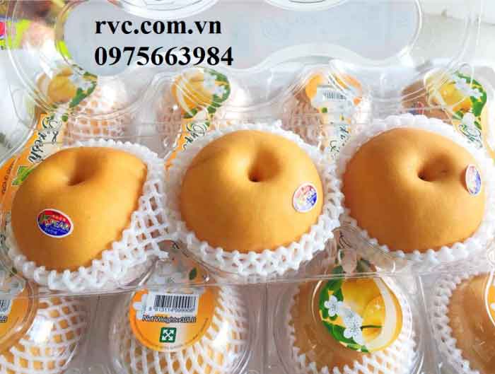 hộp trong đựng 3 trái lê