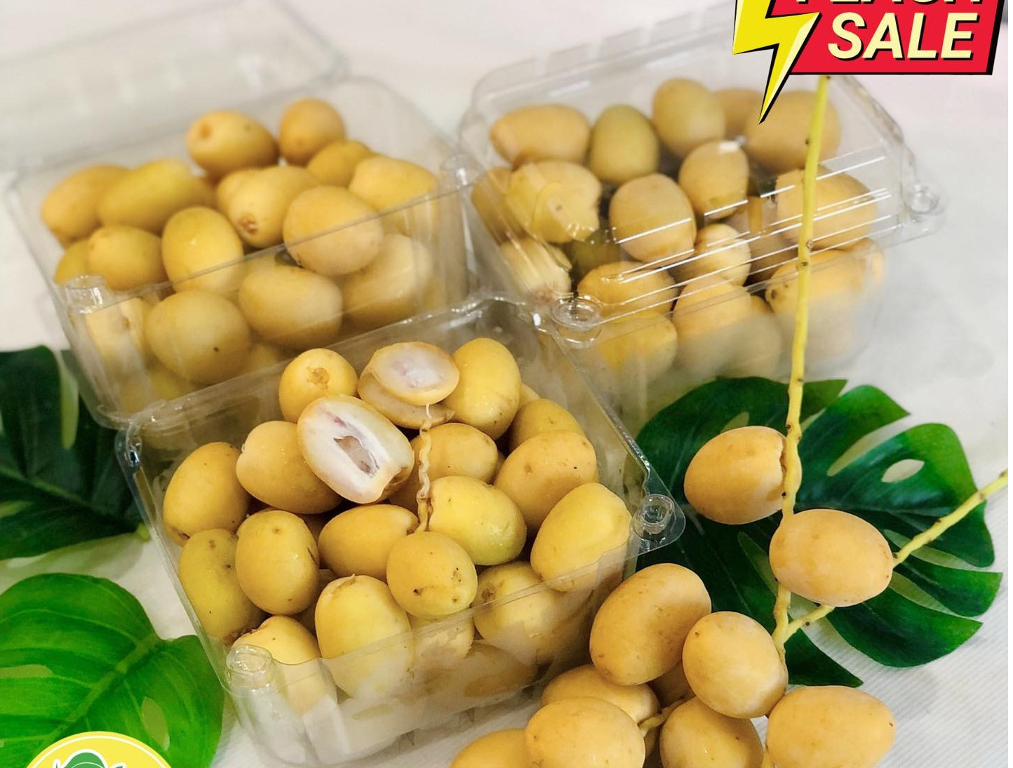 Hộp nhựa trái cây 500g