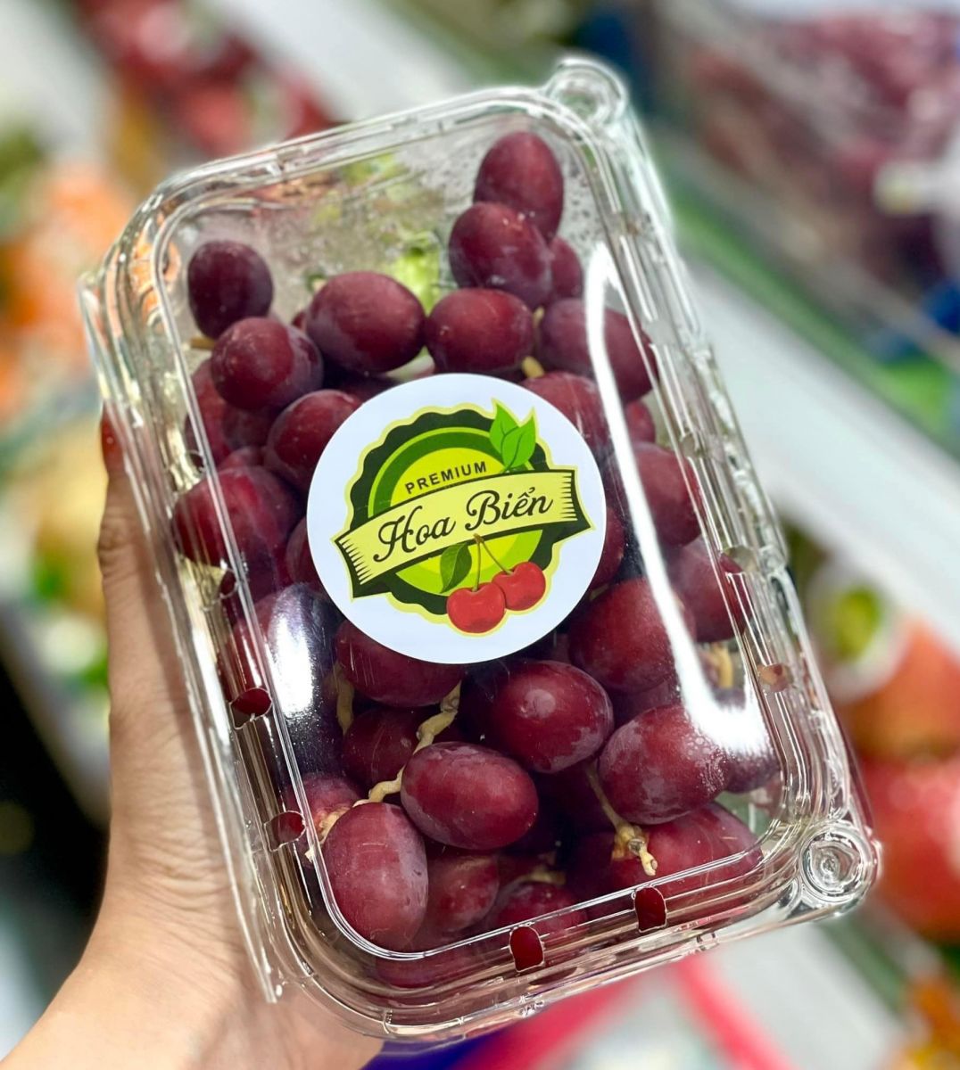 Hộp nhựa trái cây 500g