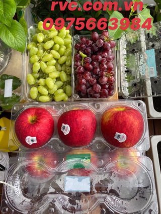 hộp nhựa đựng trái cây