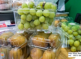 Bán hộp nhựa đựng trái cây 1 kg tại hồ chí minh giá sỉ 