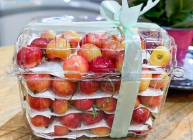 Giới thiệu 3 mẫu hộp nhựa đựng trái cây 1kg giá rẻ phổ biến nhất hiện nay