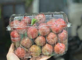Hộp nhựa trái cây P1000B - Sự lựa chọn thông minh và đáng tin cậy cho các đơn vị kinh doanh hoa quả.
