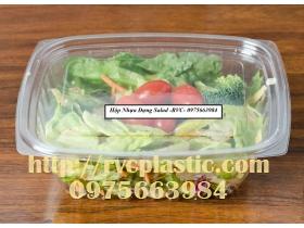 Hộp nhựa vuông salad