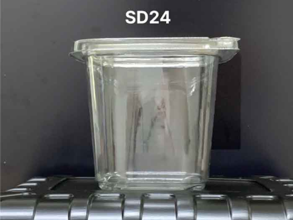 Hộp nhựa trong đựng bánh kẹo, mứt tết