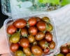 Vì sao các đơn vị kinh doanh hoa quả nên đầu tư hộp nhựa đựng trái cây?
