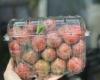 Hộp nhựa trái cây P1000B - Sự lựa chọn thông minh và đáng tin cậy cho các đơn vị kinh doanh hoa quả.