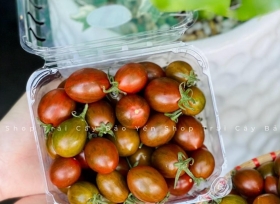 Vì sao các đơn vị kinh doanh hoa quả nên đầu tư hộp nhựa đựng trái cây?