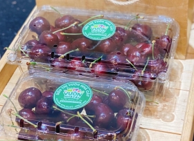 4 lý do bạn nên lựa chọn hộp nhựa đựng cherry nhà RVC