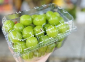 Kinh nghiệm lựa chọn hộp nhựa trái cây an toàn và chất lượng.